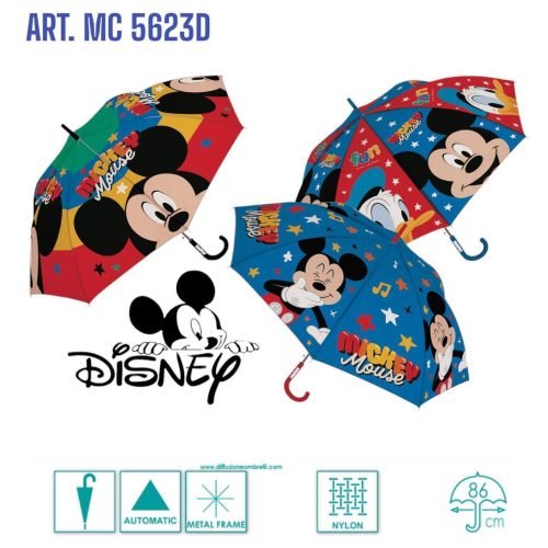 WhatsApp Image 2026-01-29 at 12.17.32